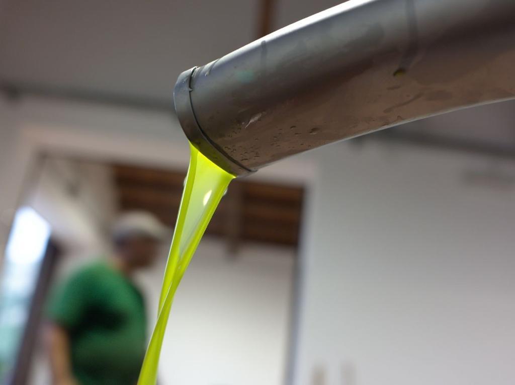 Azienda Agricola Mandranova 팔마 디 몬테치아로 외부 사진