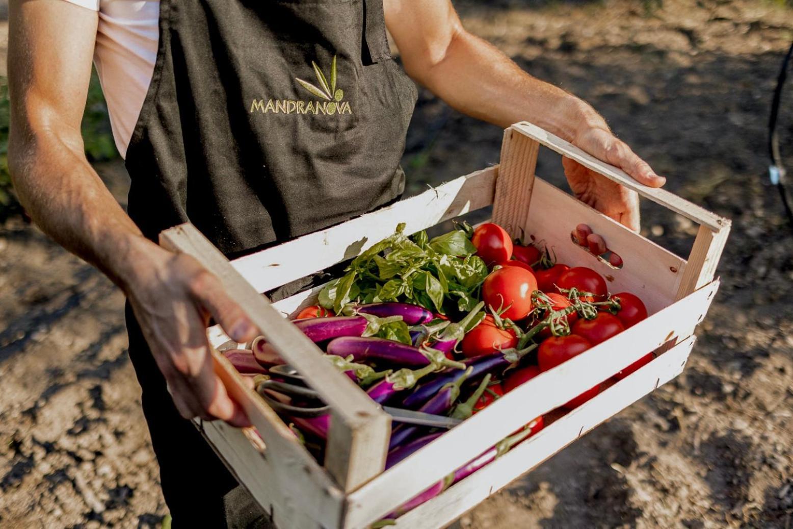 팔마 디 몬테치아로 Azienda Agricola Mandranova 게스트하우스 외부 사진